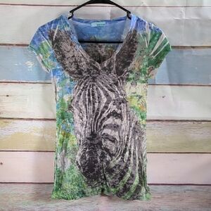 Zebra Print V-Neck Top